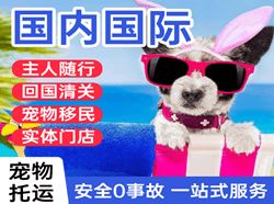 巴中恩阳航空快运国际宠物托运 【国